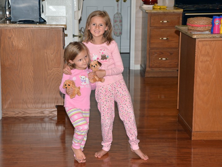 Playing with dog dolls