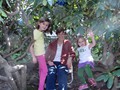 In the Fairy House