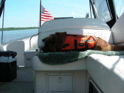 Becka On The Cruise